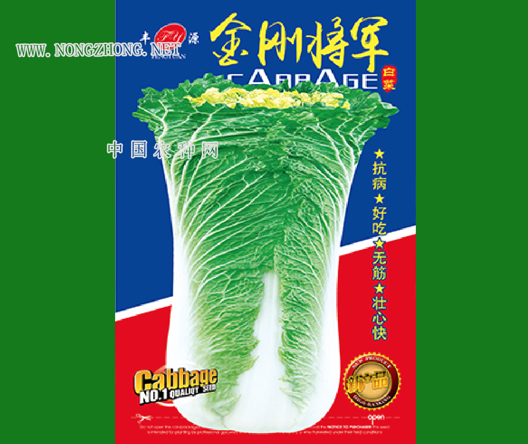 金刚将军